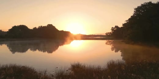 Still waters and deep wells